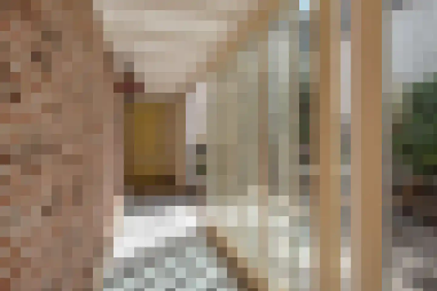 Koornmarkt 50 Delft thumbnail 19