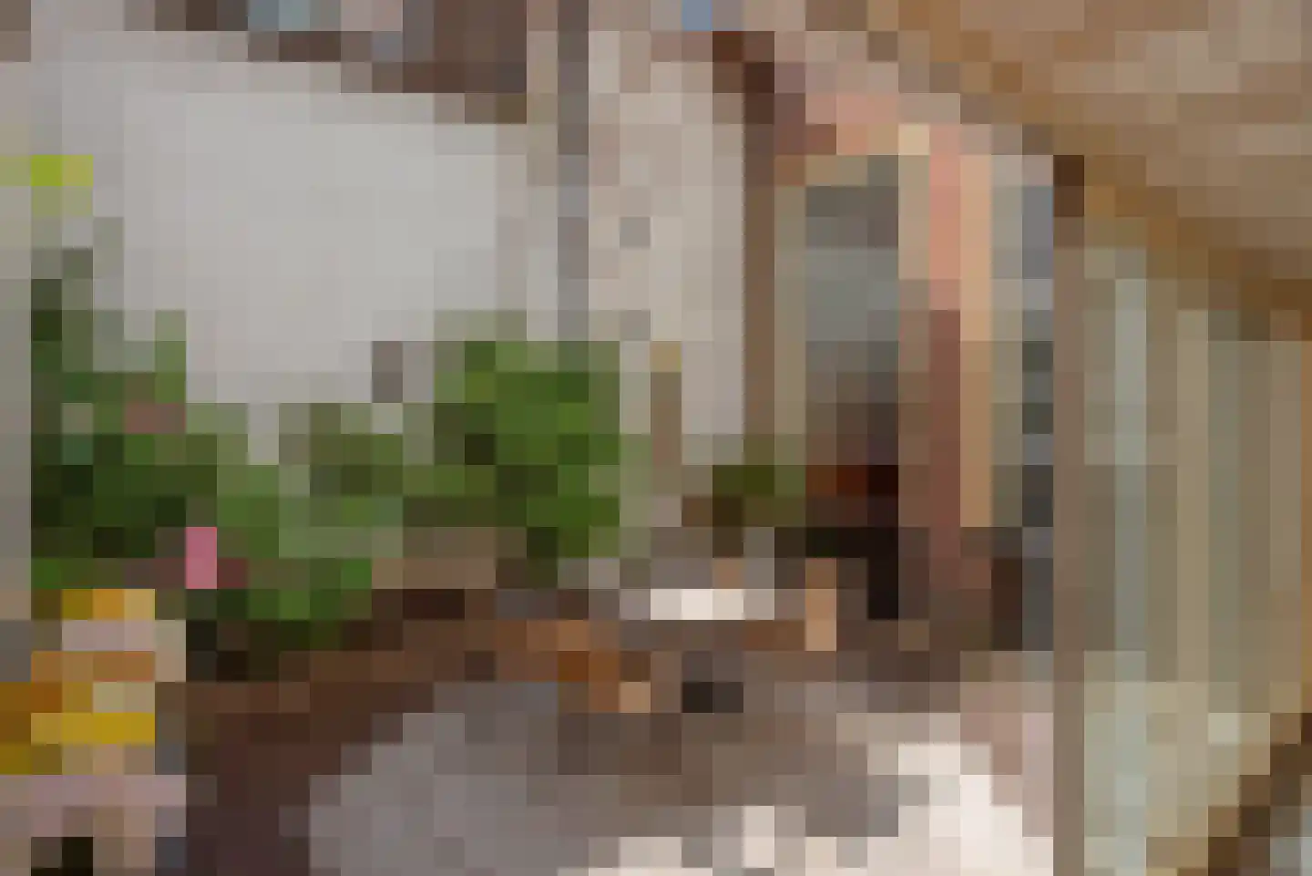 Koornmarkt 50 Delft thumbnail 20