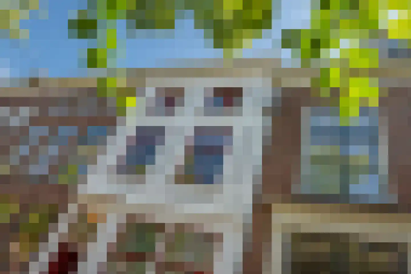 Koornmarkt 50 Delft thumbnail 5