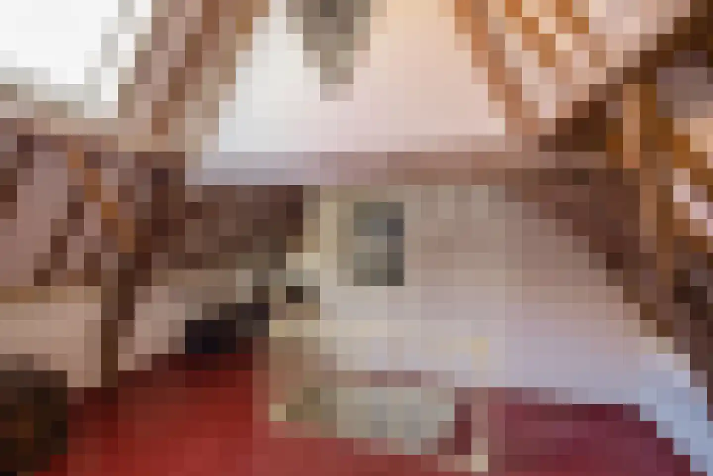 Koornmarkt 50 Delft thumbnail 53