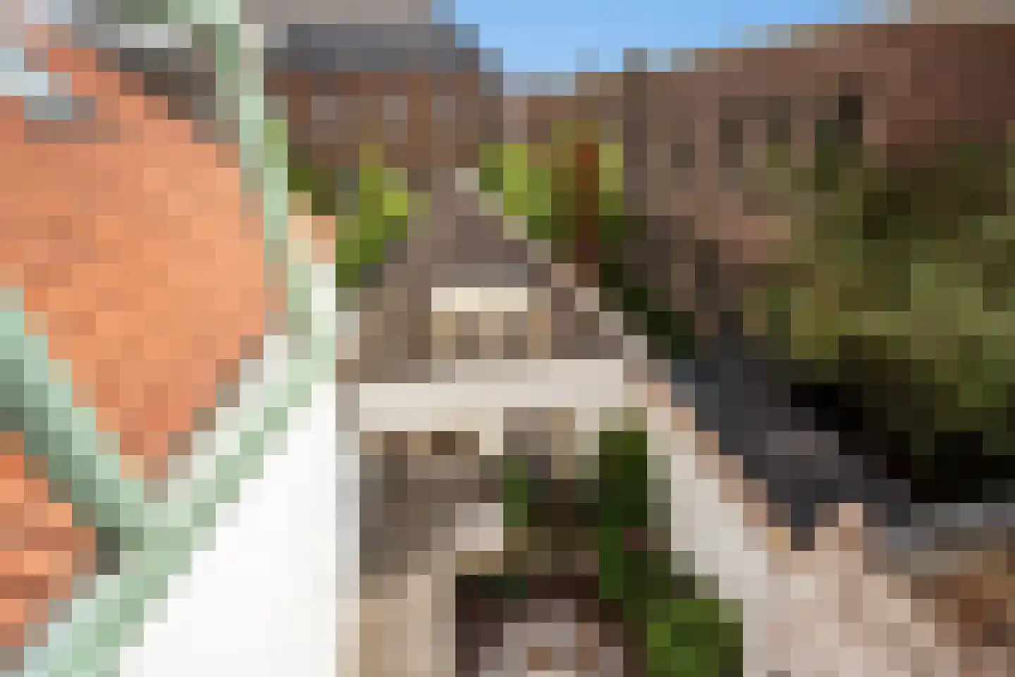 Koornmarkt 50 Delft thumbnail 59