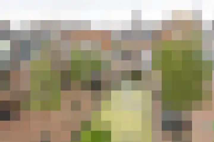 Koornmarkt 6 Dokkum thumbnail 4