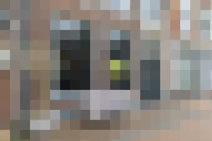 Koornmarkt 6 Dokkum thumbnail 8