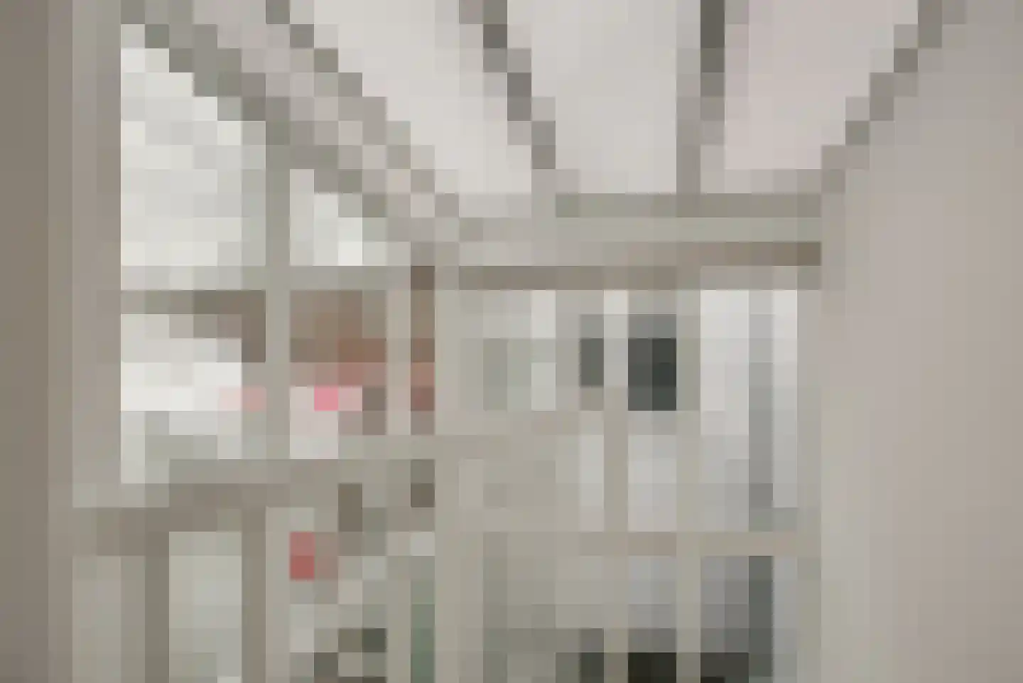 Koornmarkt 89 Delft thumbnail 44