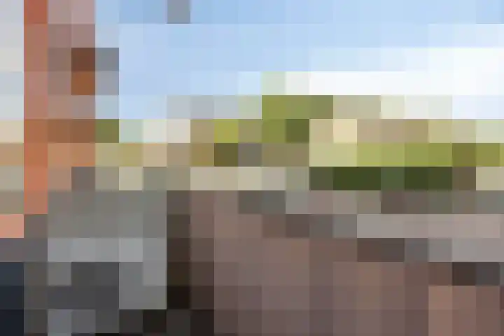 Koornstraat 103 Oss thumbnail 14