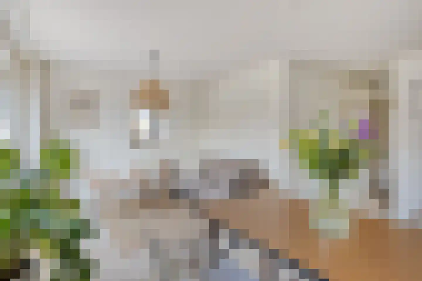 Koornstraat 11 Oss thumbnail 14