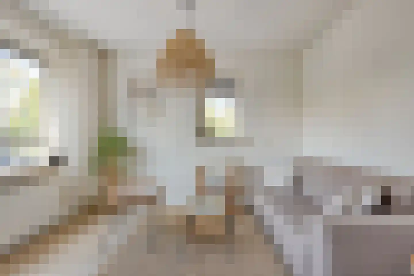 Koornstraat 11 Oss thumbnail 15