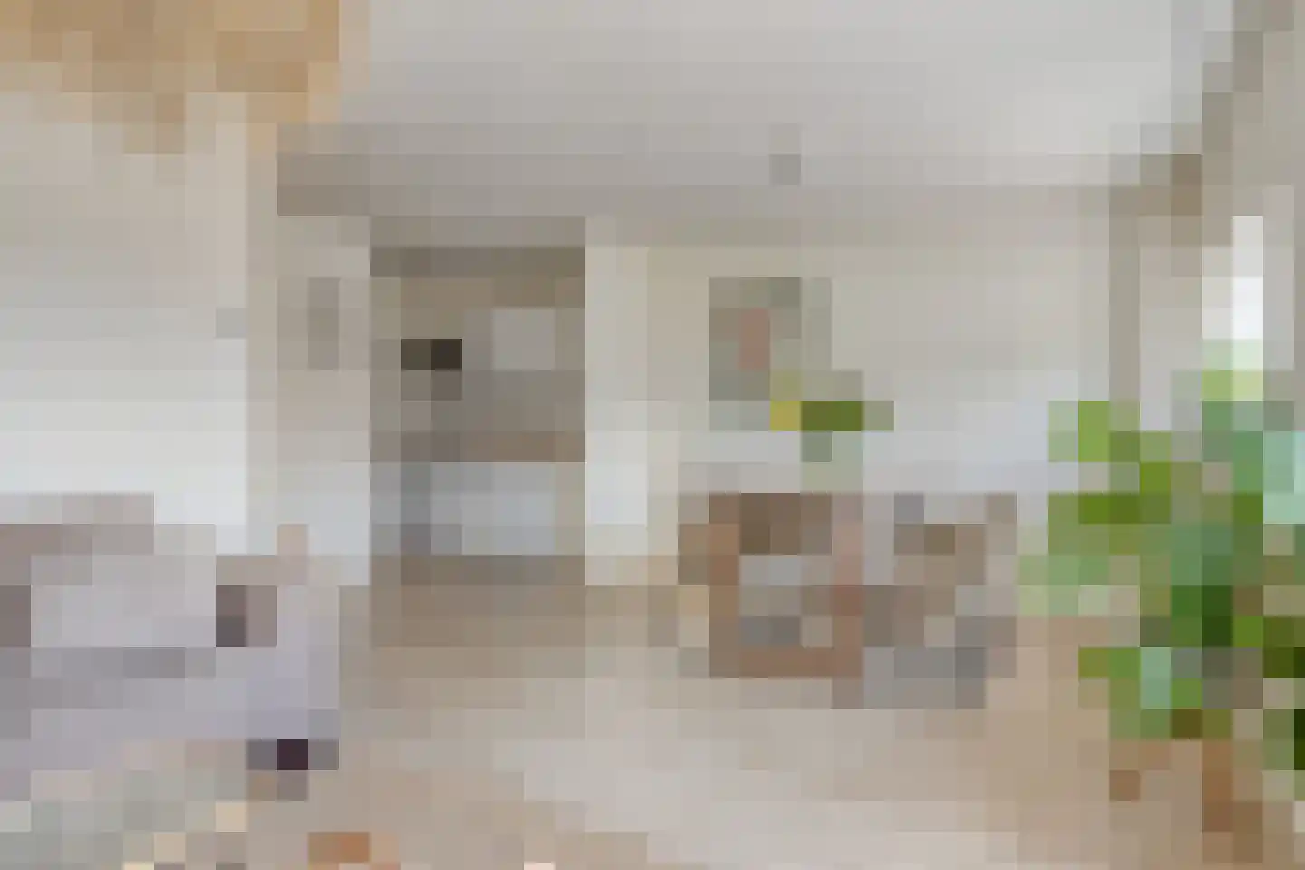 Koornstraat 11 Oss thumbnail 4