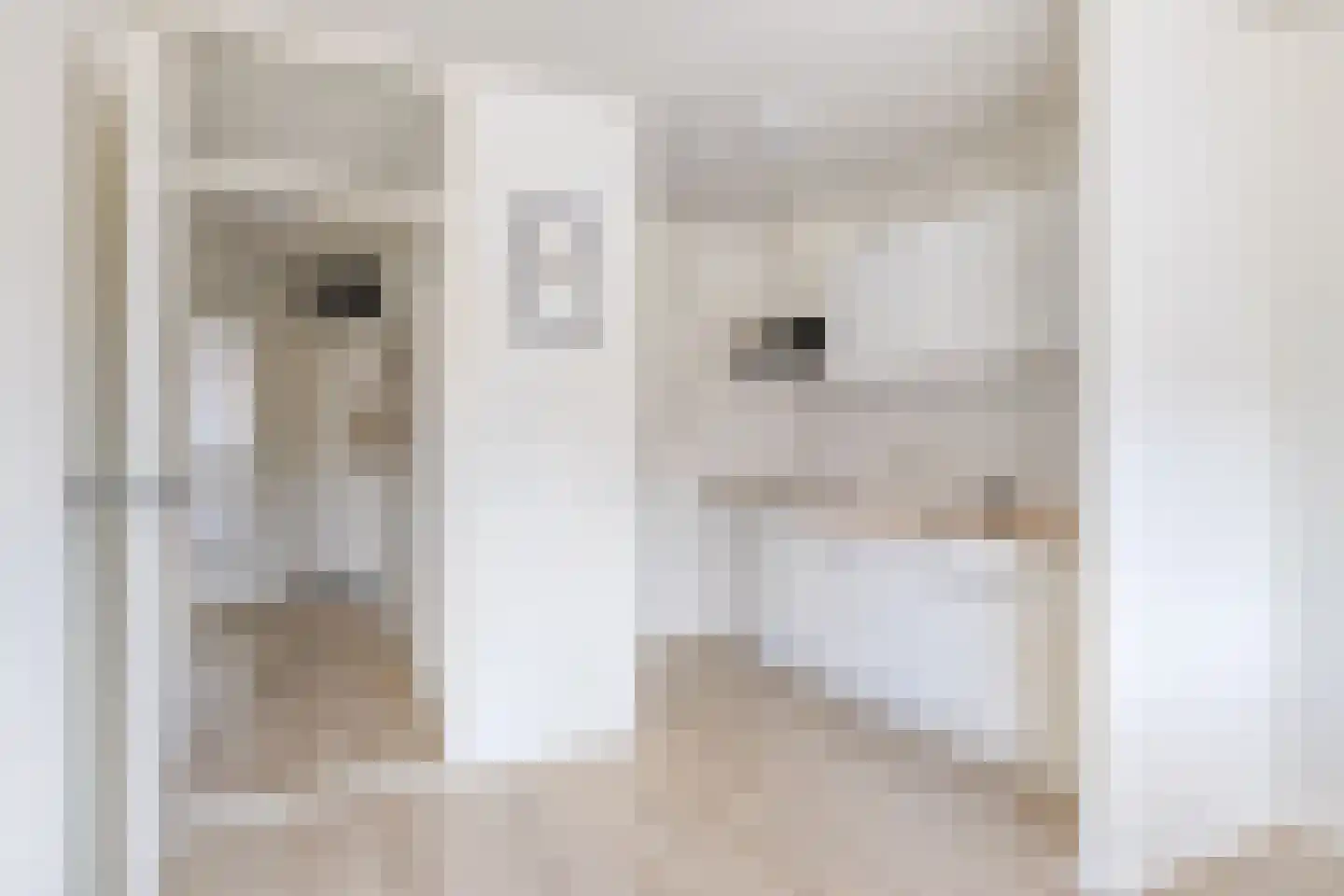 Koornstraat 11 Oss thumbnail 9
