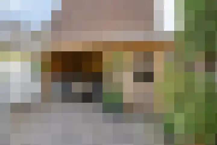 Koornstraat 21 Oss thumbnail 16