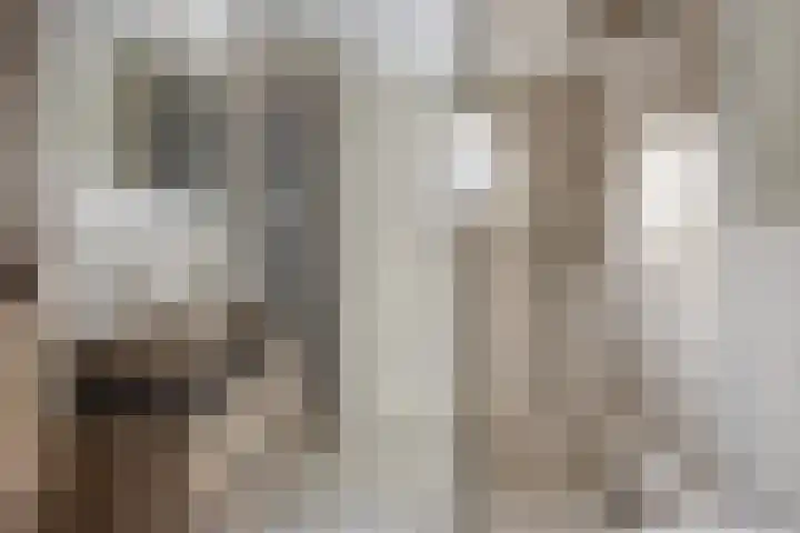 Koornstraat 21 Oss thumbnail 21