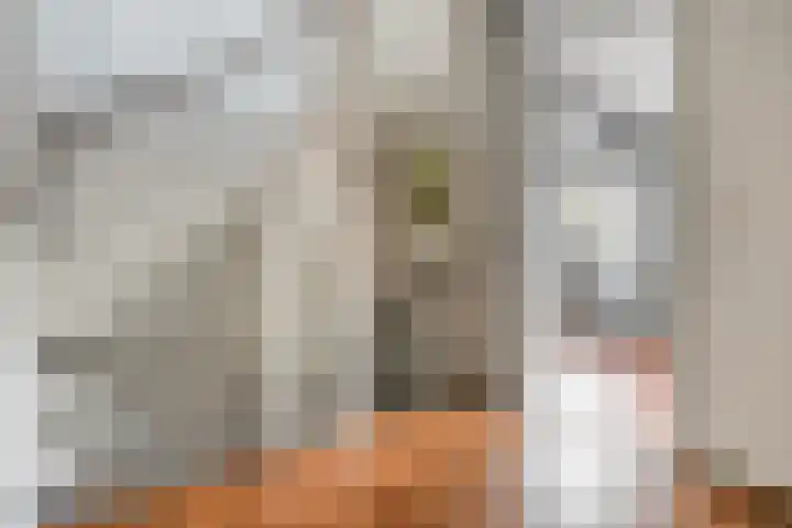 Koornstraat 21 Oss thumbnail 25