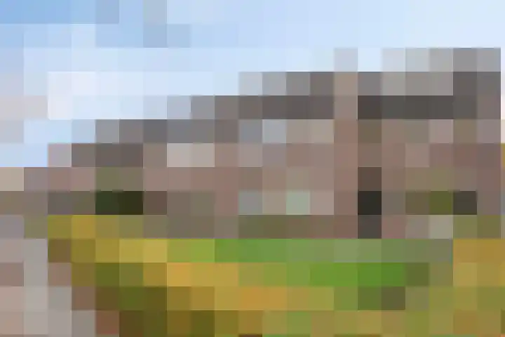 Koornstraat 21 Oss thumbnail 30