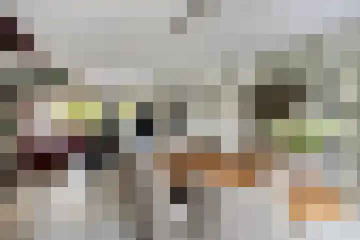 Koornstraat 21 Oss thumbnail 8