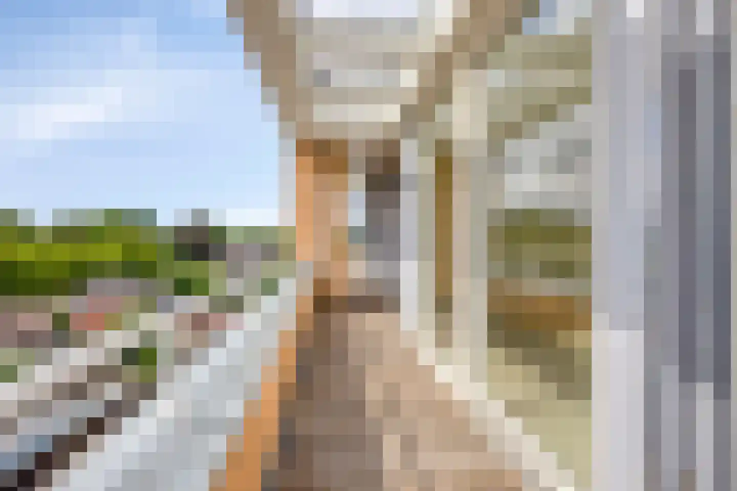 Koornstraat 28 H Oss thumbnail 41