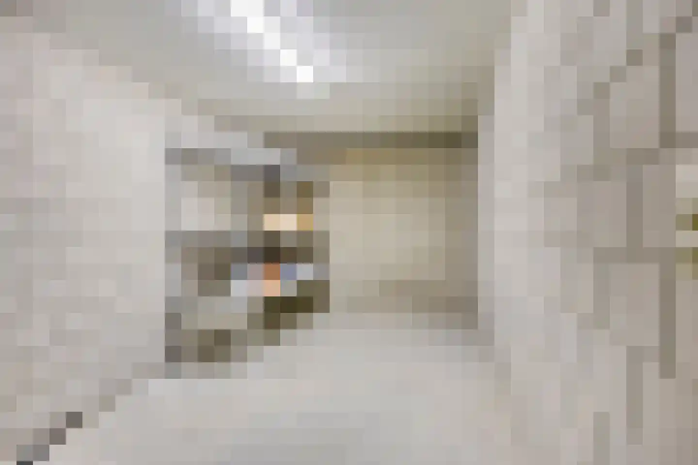 Koornstraat 28 H Oss thumbnail 45
