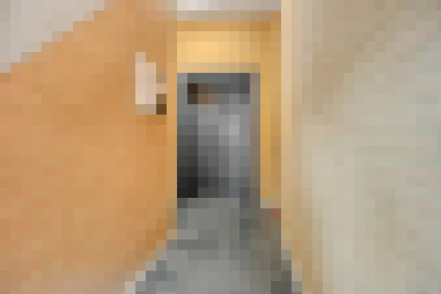 Koornstraat 28 H Oss thumbnail 6