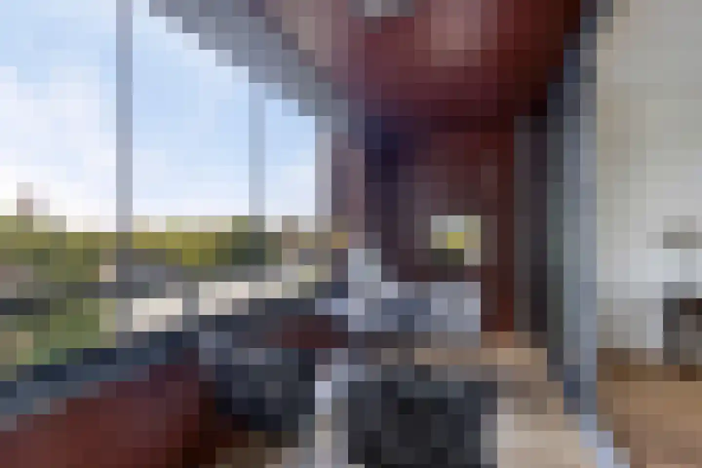 Koornstraat 38 Oss thumbnail 11