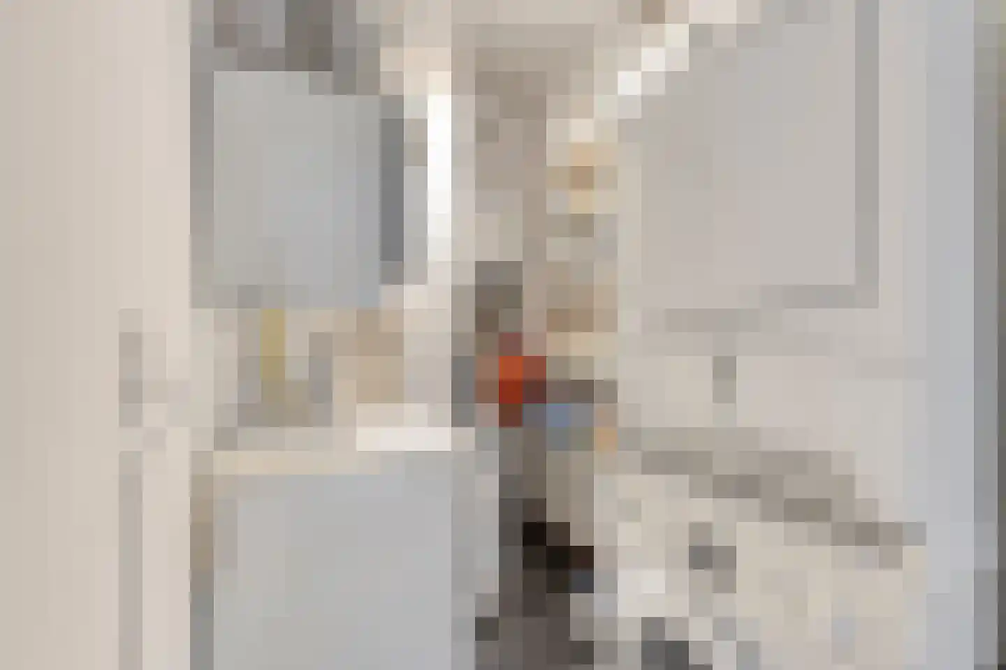 Koornstraat 38 Oss thumbnail 19