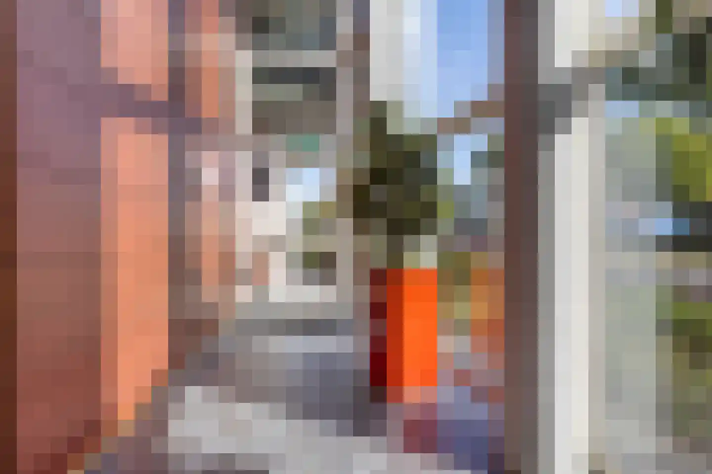 Koornstraat 38 Oss thumbnail 24