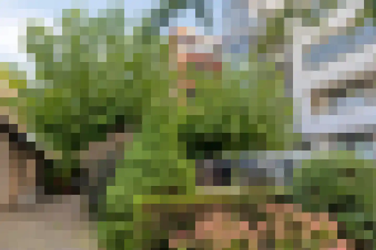 Koornstraat 38 Oss thumbnail 29