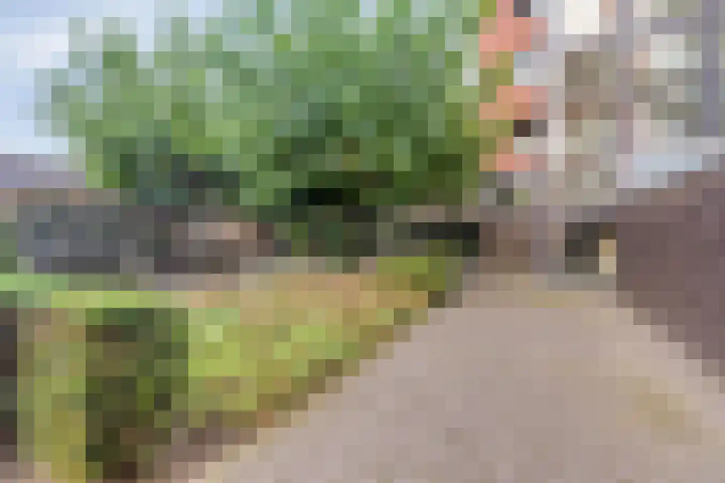 Koornstraat 38 Oss thumbnail 31
