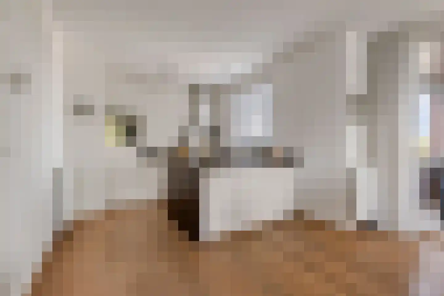 Koornstraat 38 Oss thumbnail 4