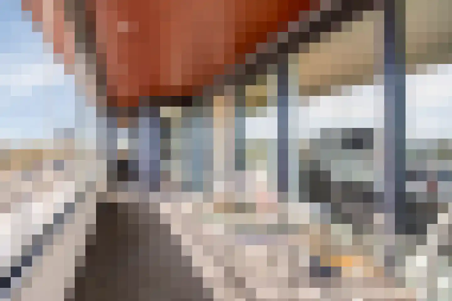 Koornstraat 40 A Oss thumbnail 30