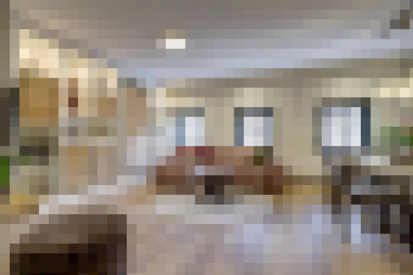 Koornstraat 7 A Oss thumbnail 13