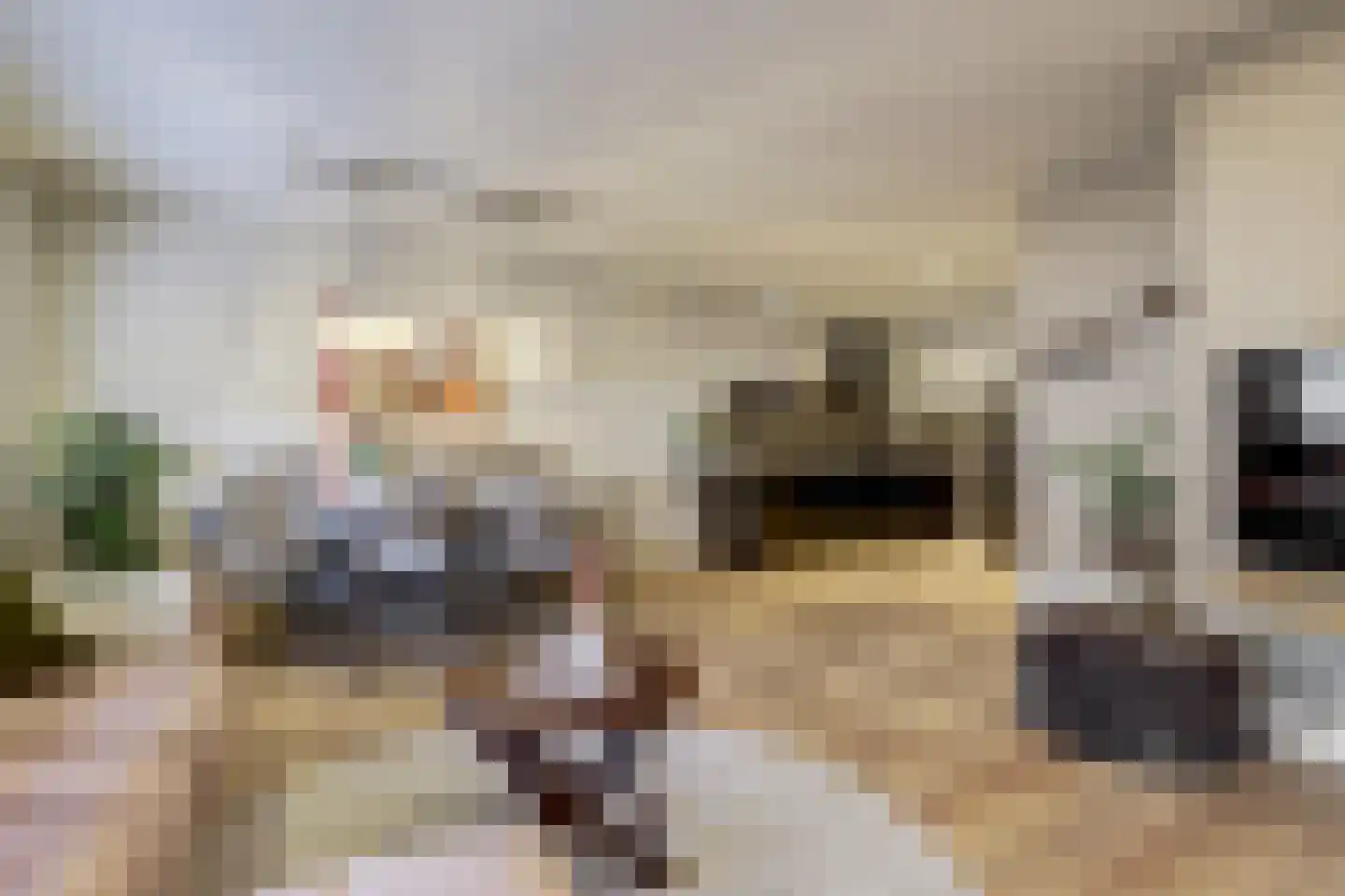 Koornstraat 7 A Oss thumbnail 18