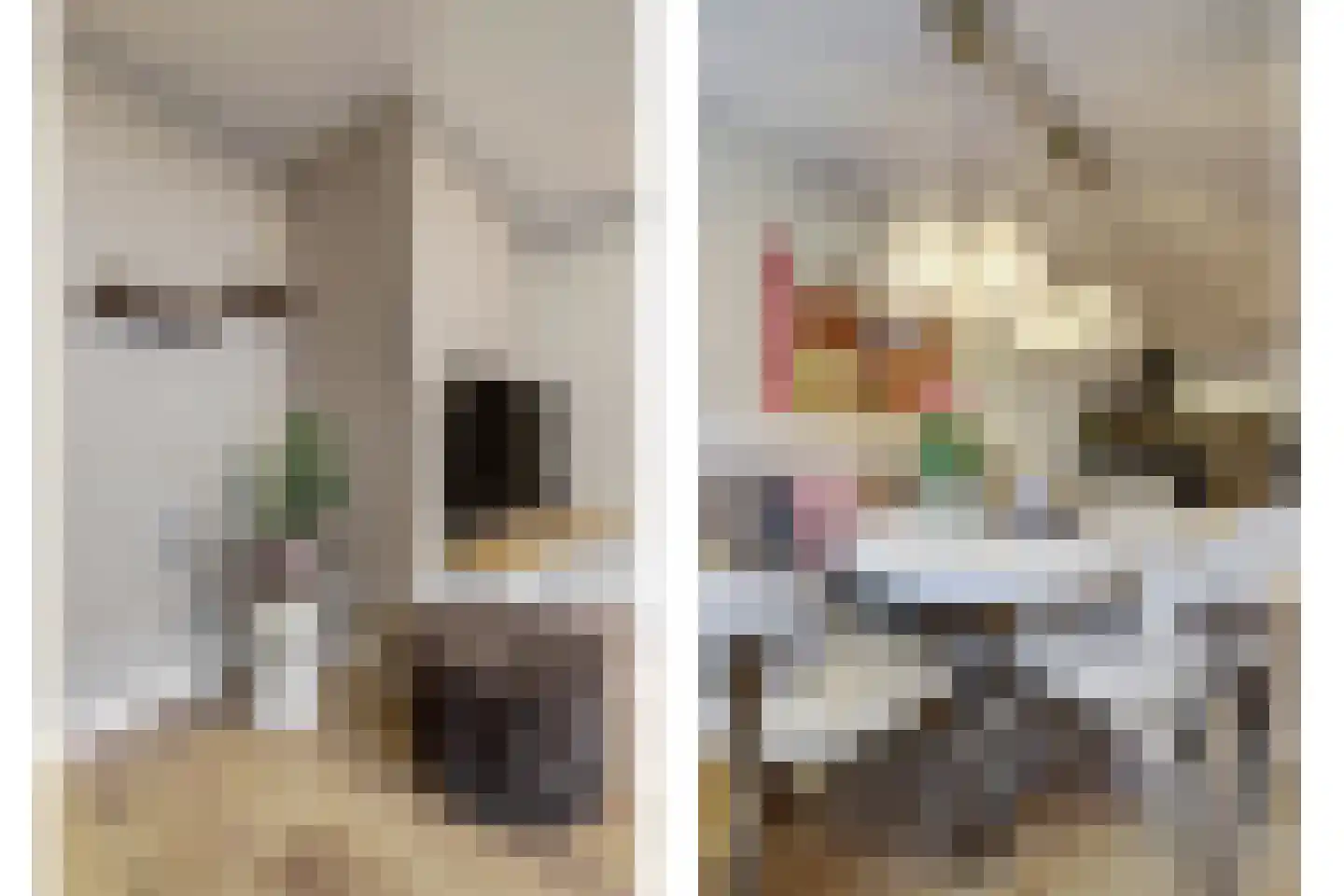 Koornstraat 7 A Oss thumbnail 20