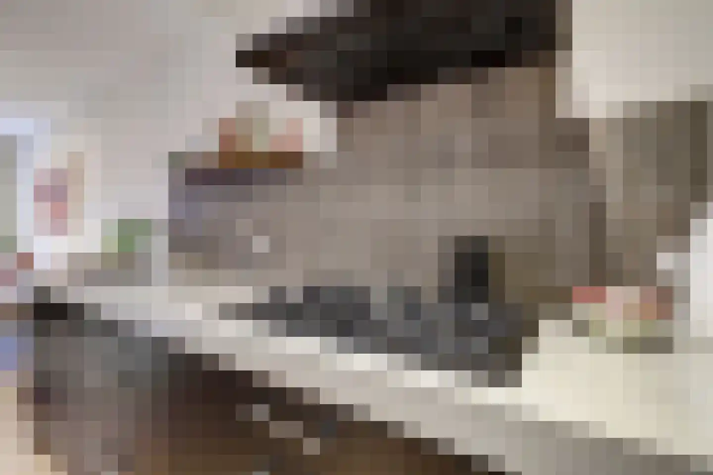 Koornstraat 7 A Oss thumbnail 22