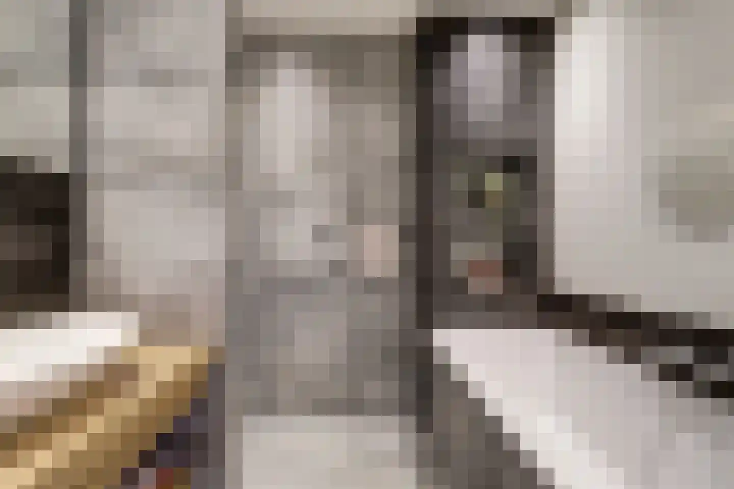 Koornstraat 7 A Oss thumbnail 4
