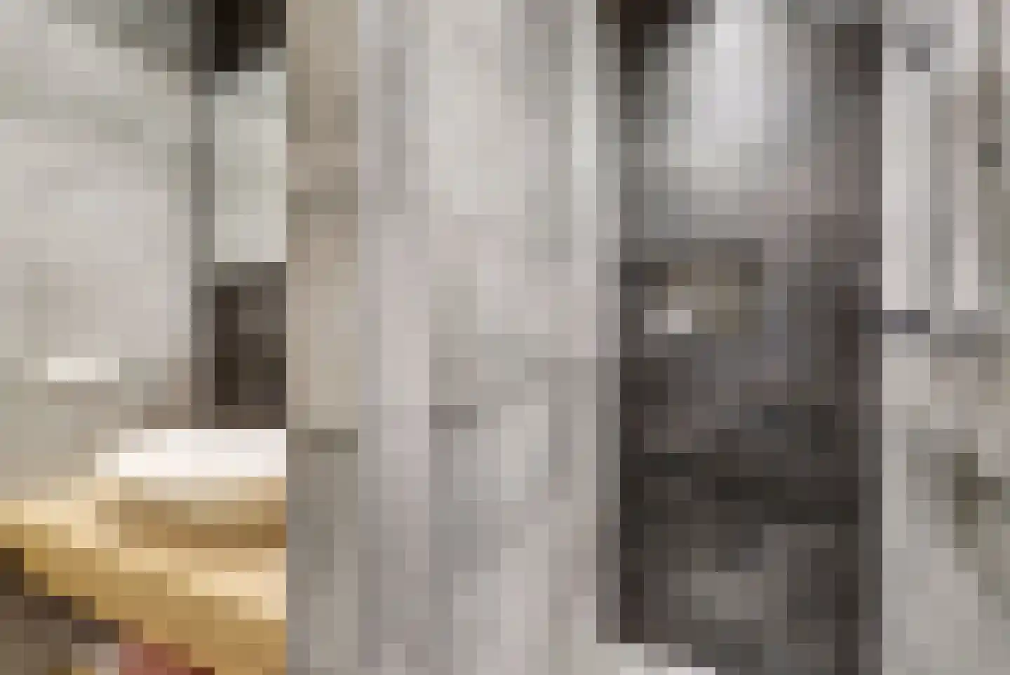 Koornstraat 7 A Oss thumbnail 9