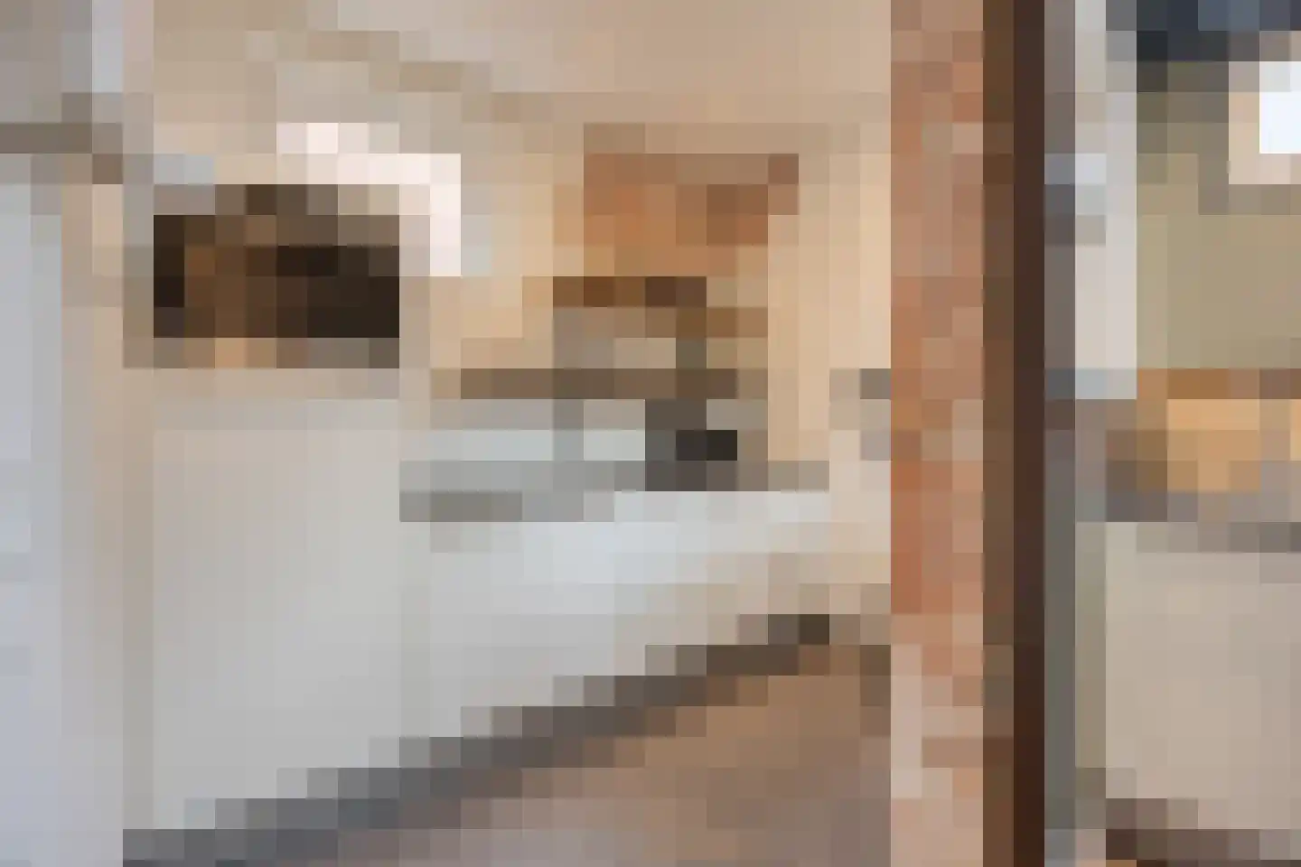 Koorstraat 49 Alkmaar thumbnail 13