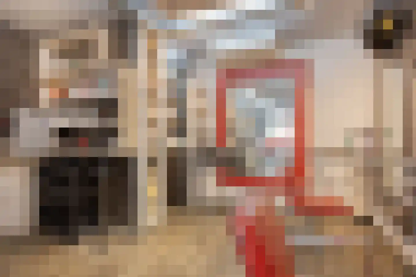 Koorstraat 49 Alkmaar thumbnail 27