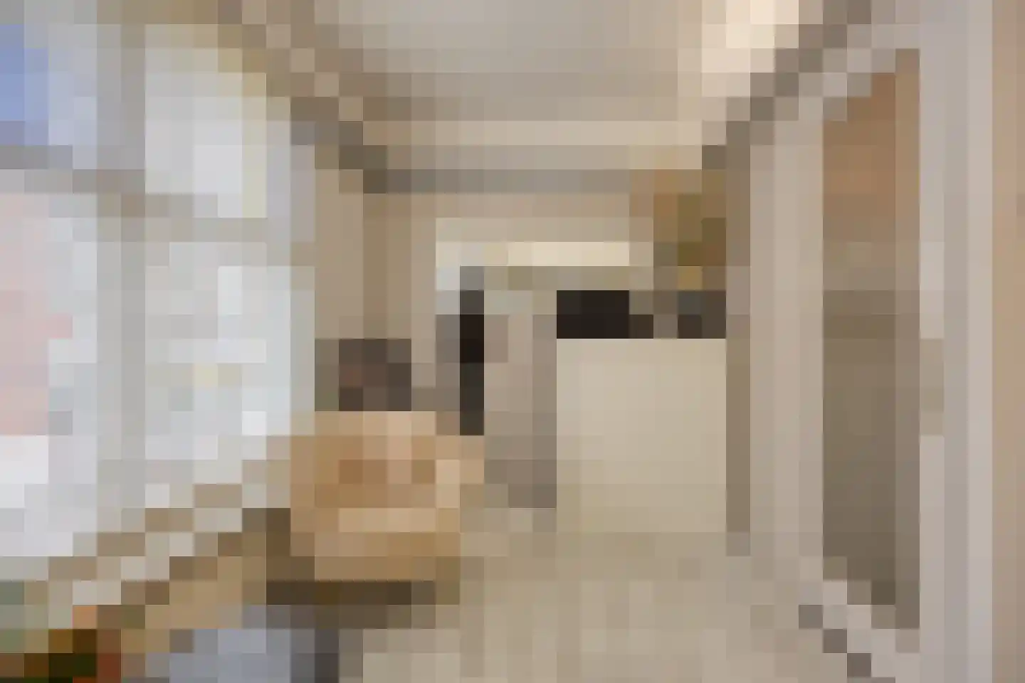 Koorstraat 49 Alkmaar thumbnail 32