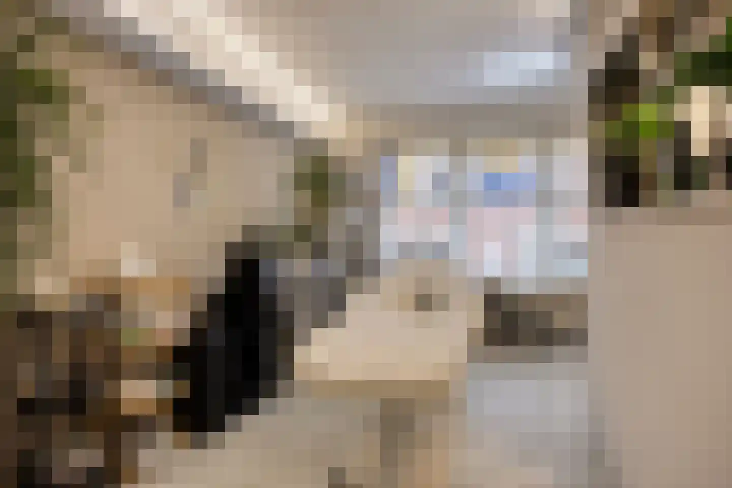Koorstraat 49 Alkmaar thumbnail 33