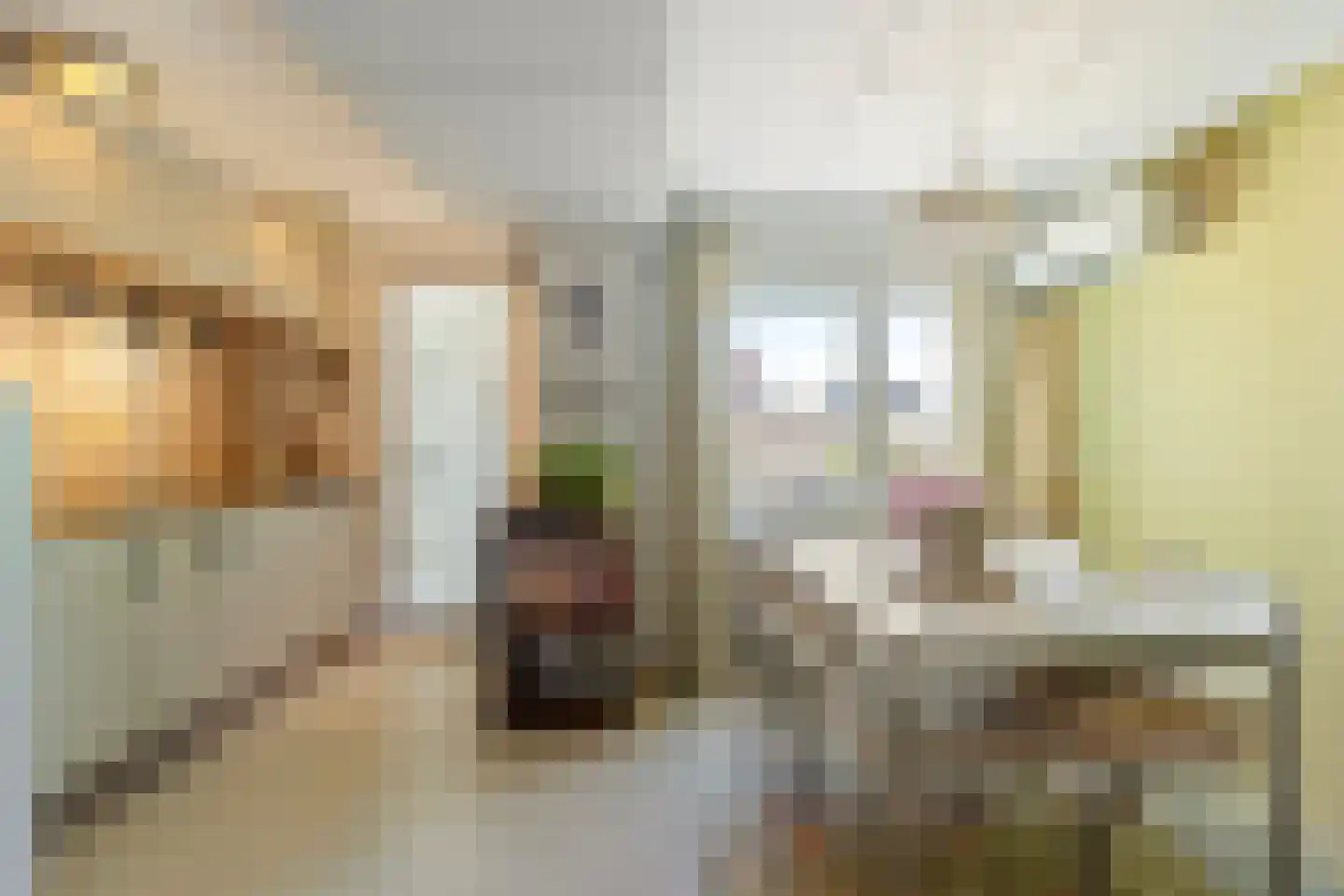 Koorstraat 53 Alkmaar thumbnail 13