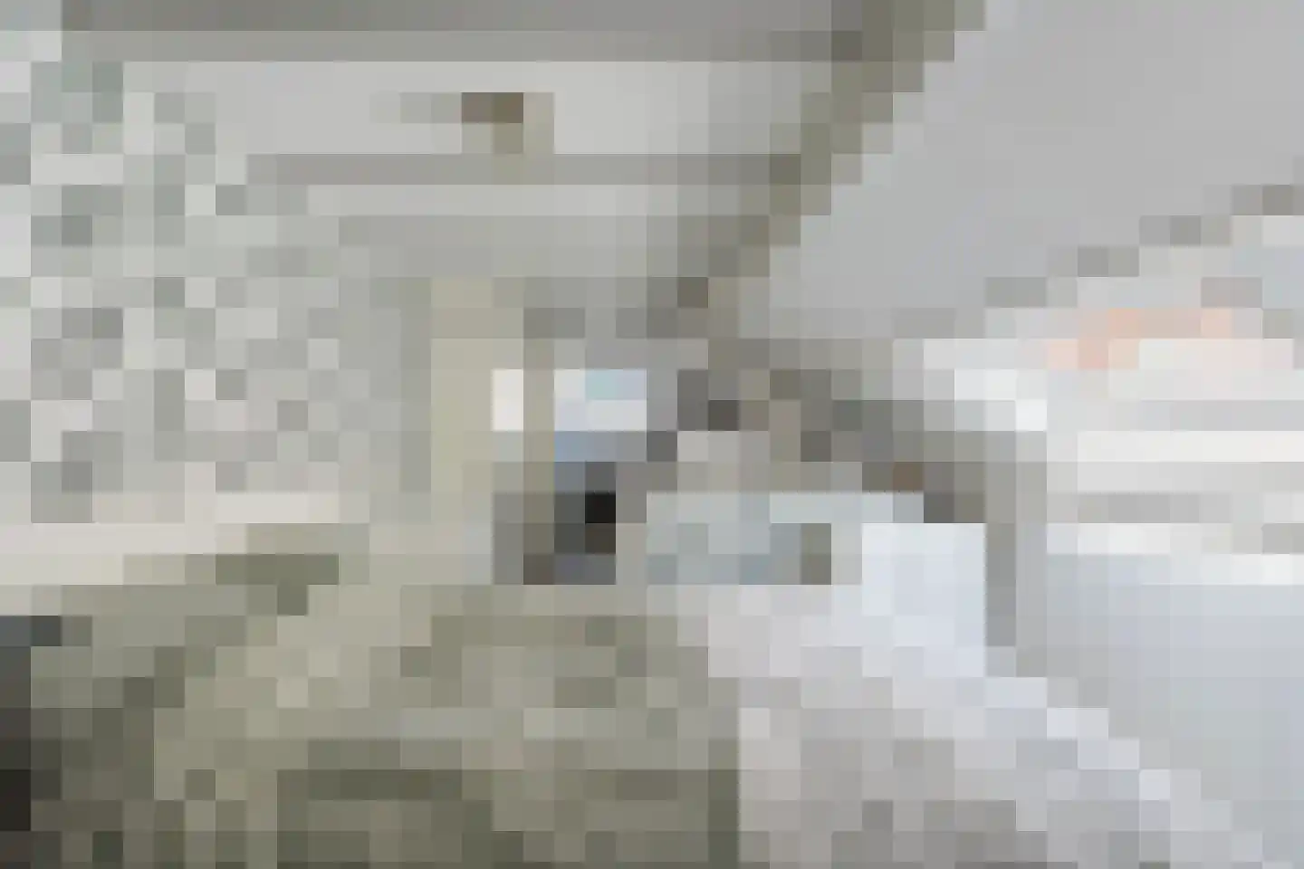 Koorstraat 53 Alkmaar thumbnail 22