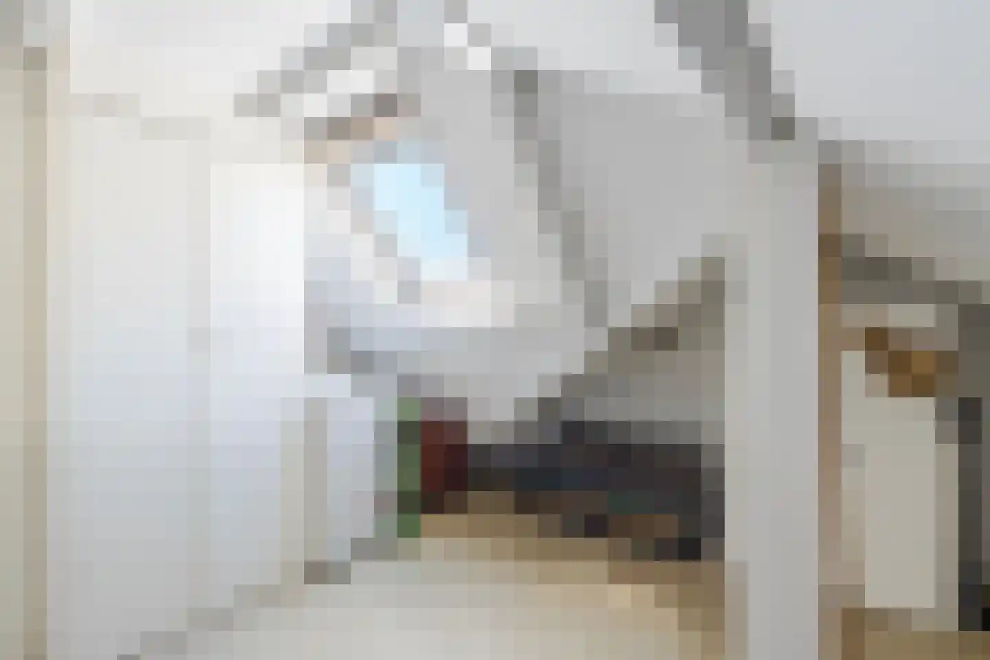Koorstraat 53 Alkmaar thumbnail 27