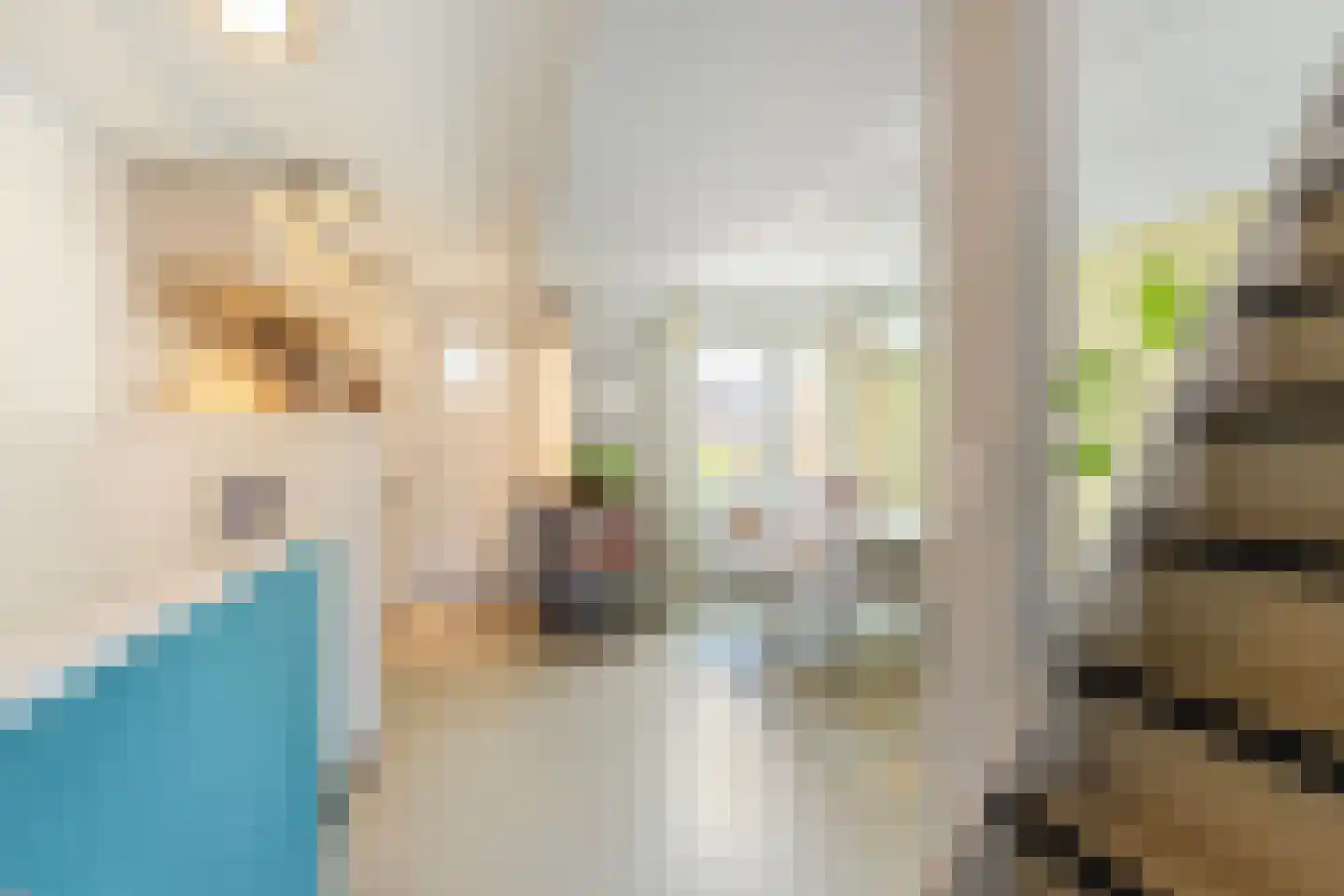 Koorstraat 53 Alkmaar thumbnail 8