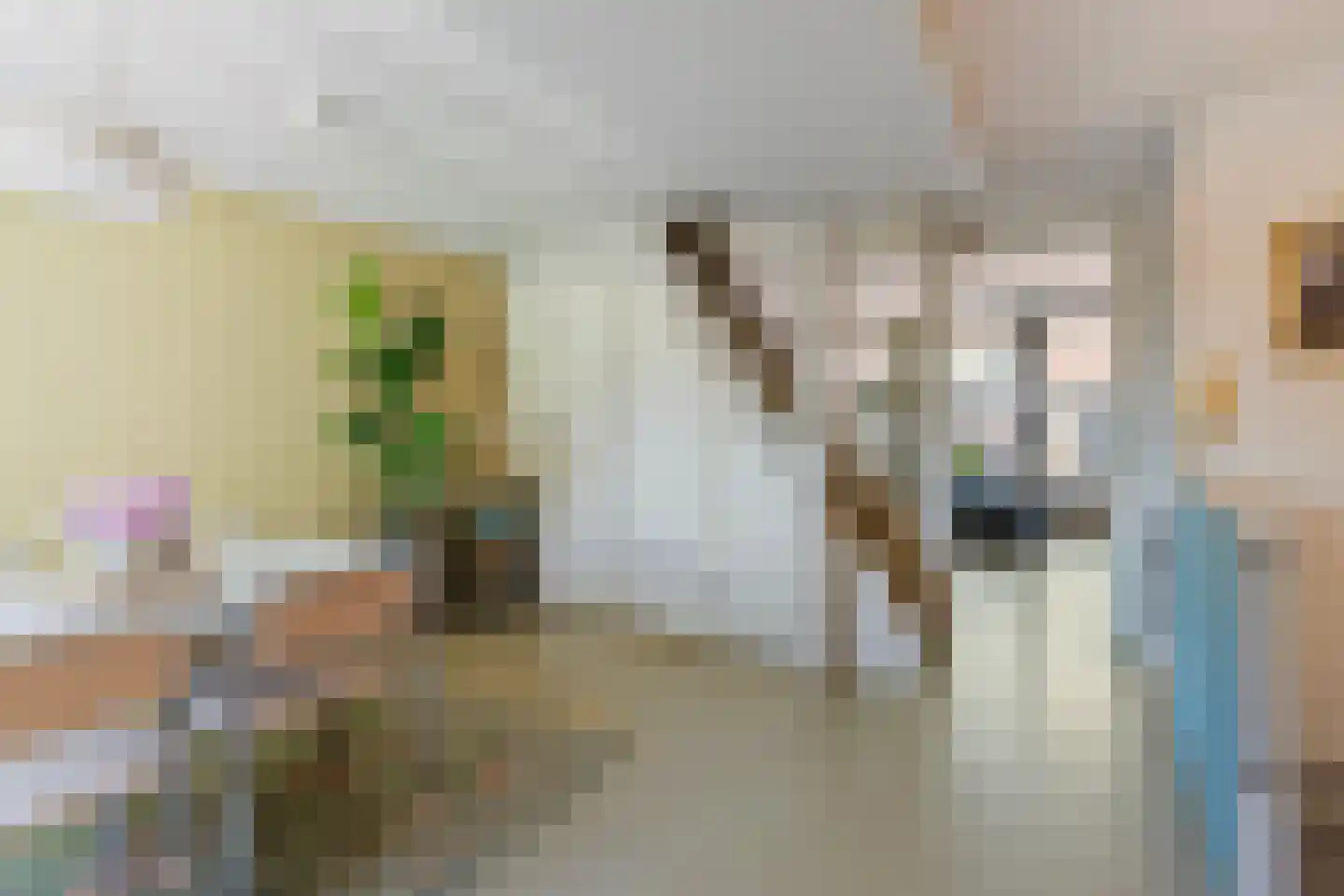 Koorstraat 53 Alkmaar thumbnail 9