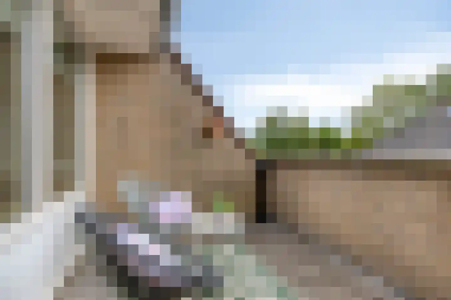 Koorstraat 54 Boxmeer thumbnail 19