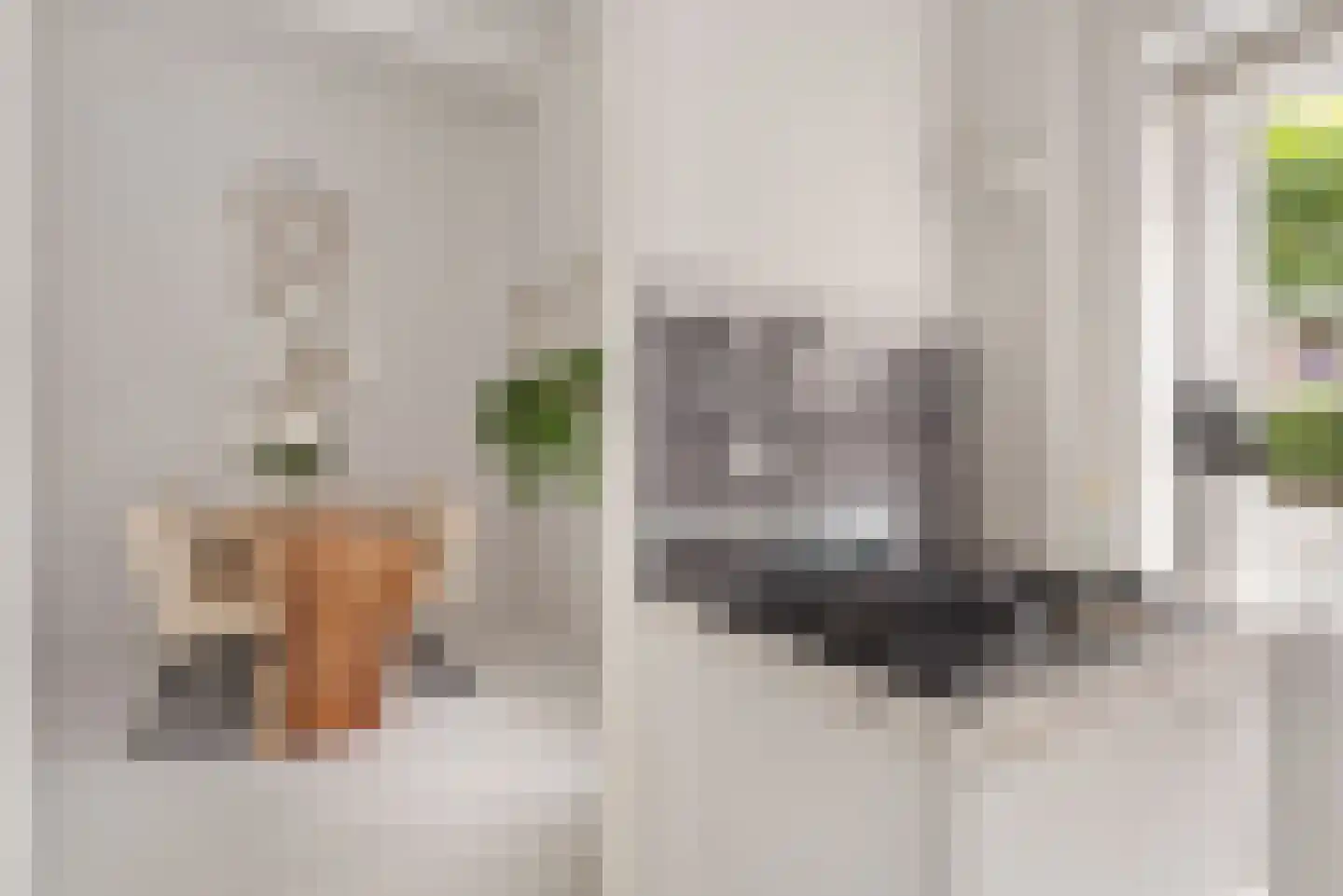 Koorstraat 6 A Alkmaar thumbnail 19
