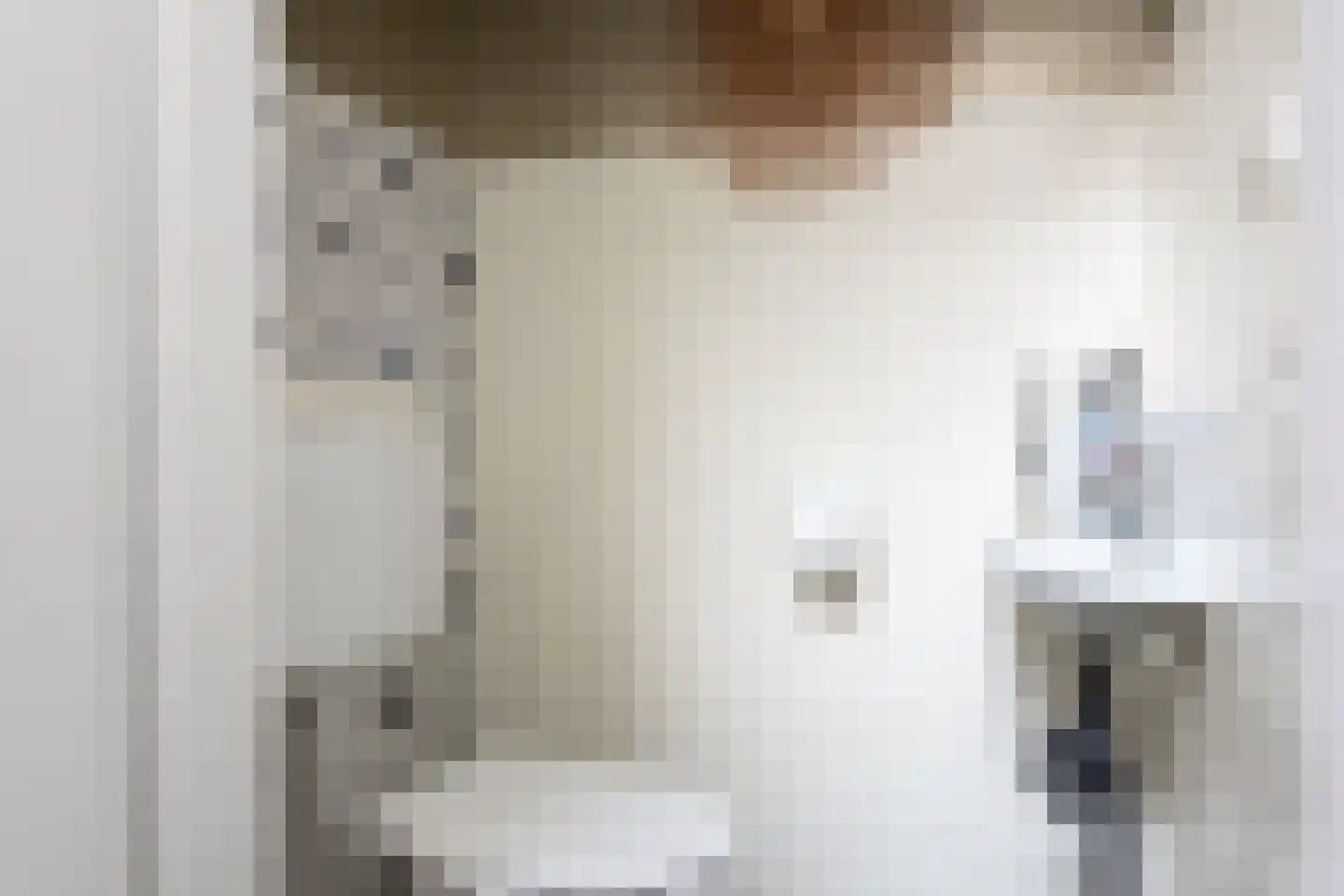 Koorstraat 6 A Alkmaar thumbnail 21