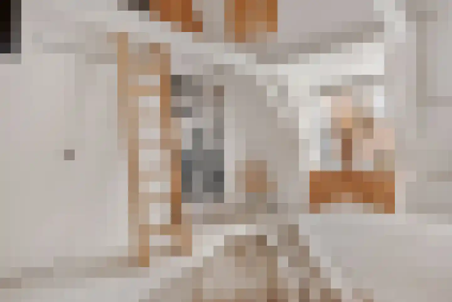 Koorstraat 6 A Alkmaar thumbnail 25