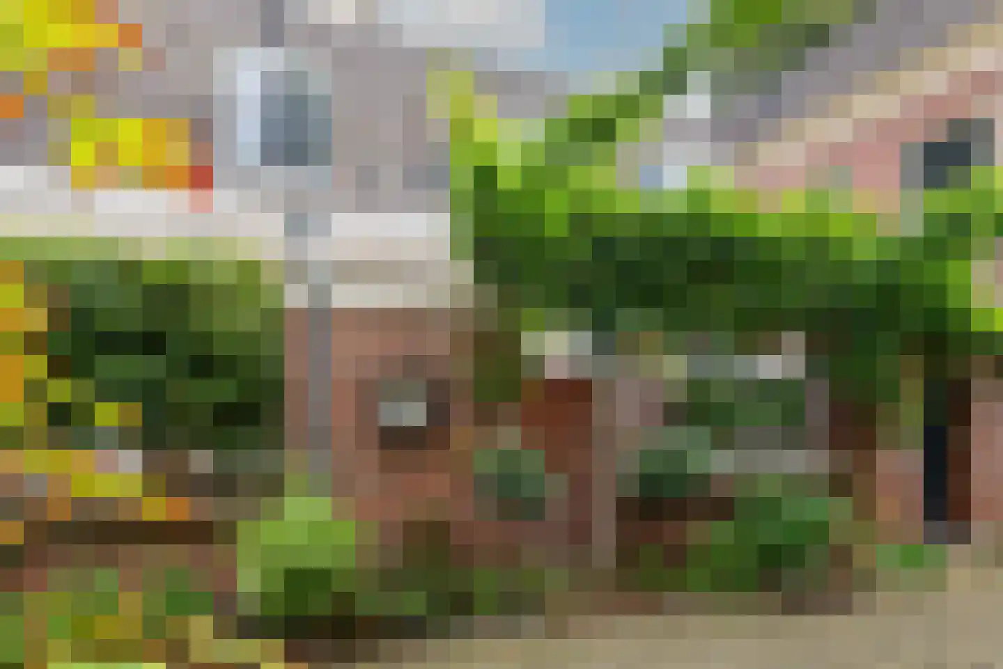 Koorstraat 6 A Alkmaar thumbnail 37