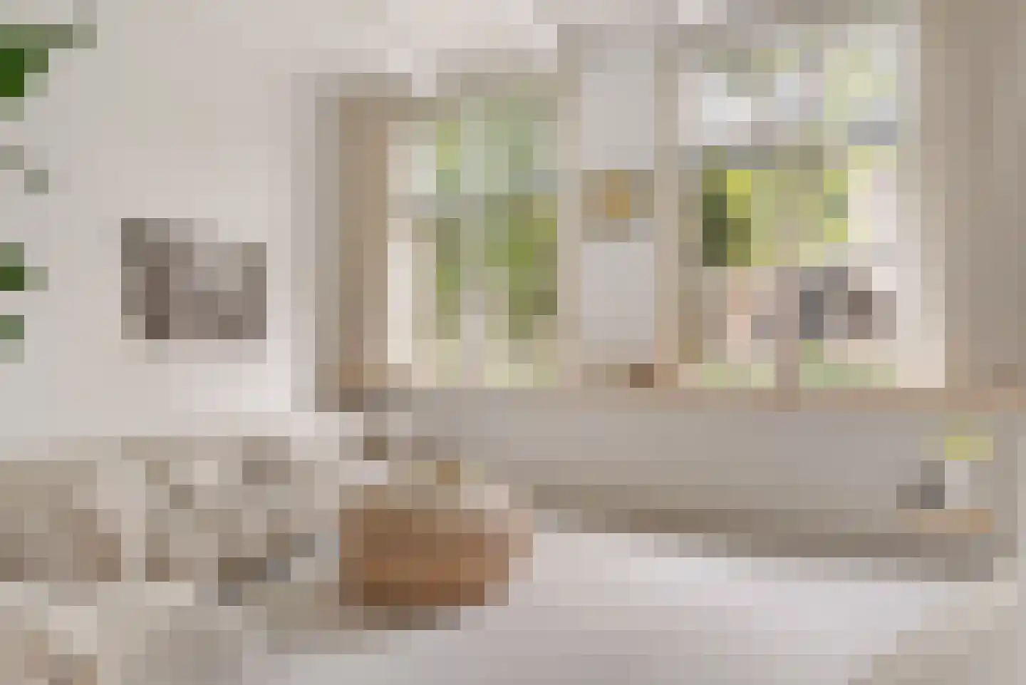Koorstraat 6 A Alkmaar thumbnail 8