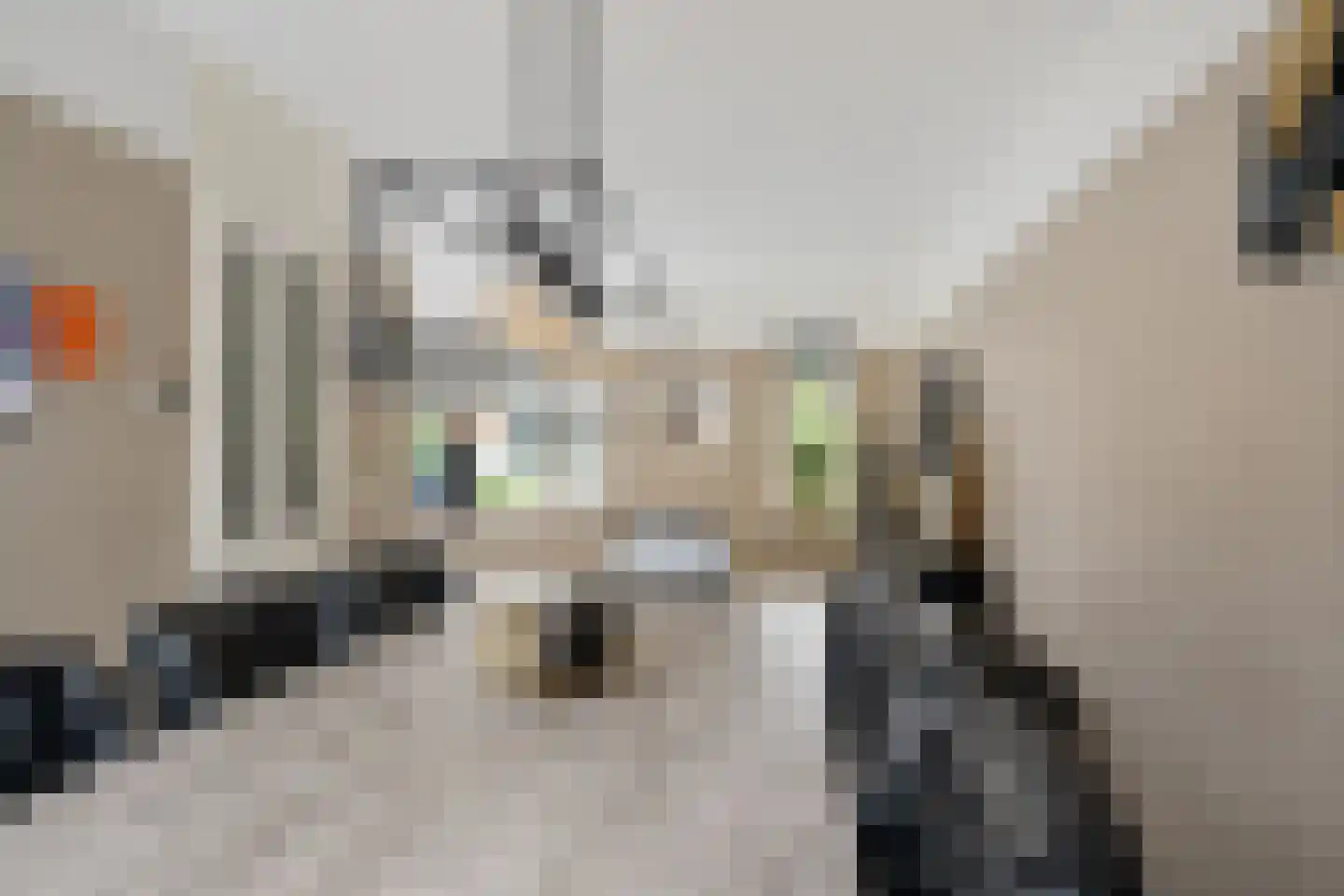 Koos Gaastrastrjitte 8 Sneek thumbnail 10